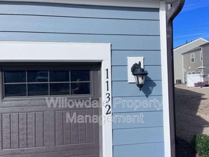 1132 Chestnut Bluff Run - Photo 3 of 31