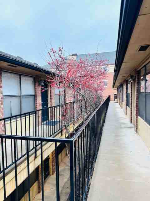 1020 W 4th Ave #24 - Photo 2 of 13