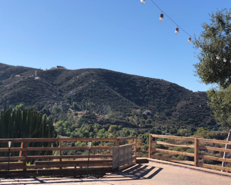 1163 Dehesa Ranch Rd - Photo 2 of 16