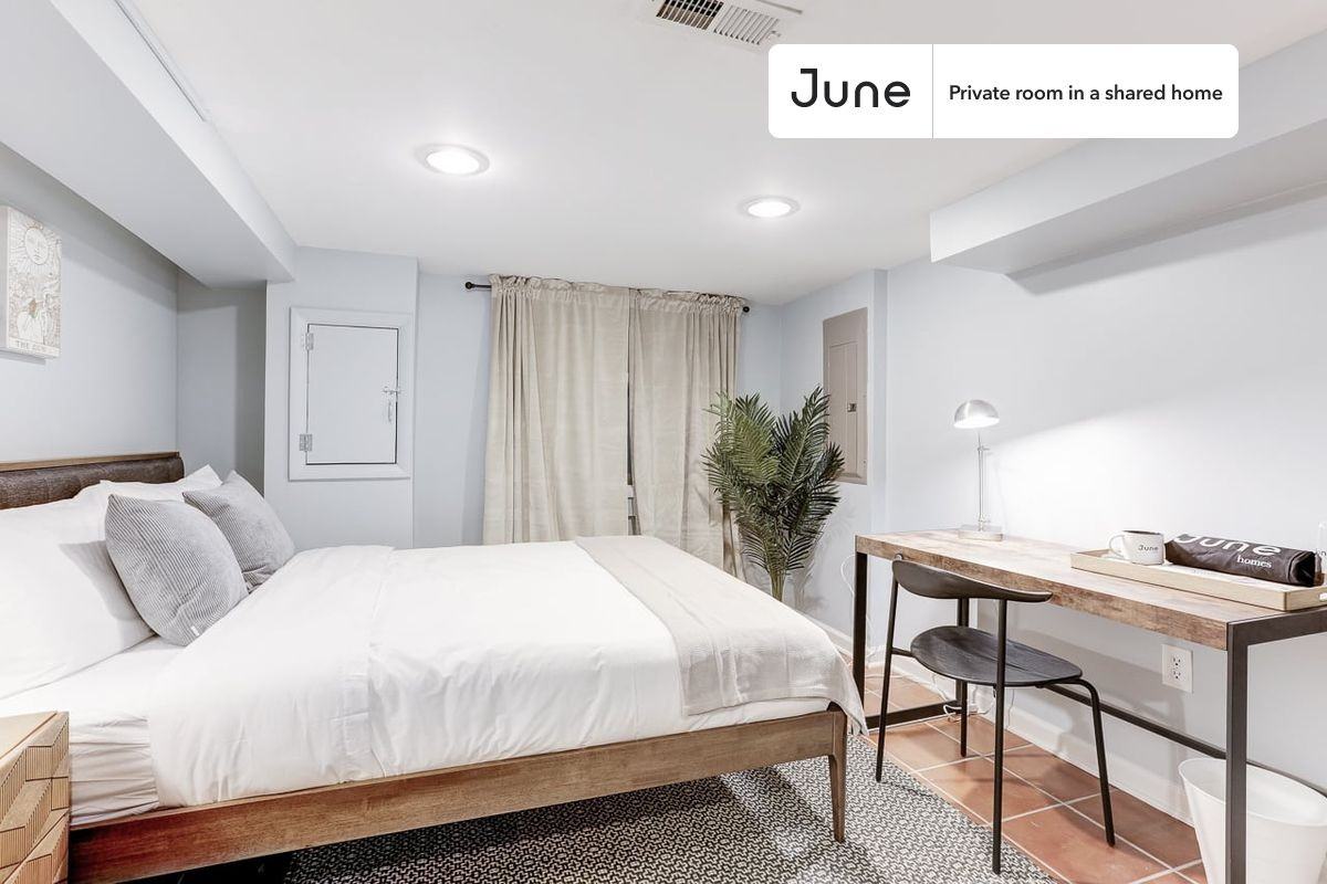 1329 E St Ne #A - Photo 2 of 17