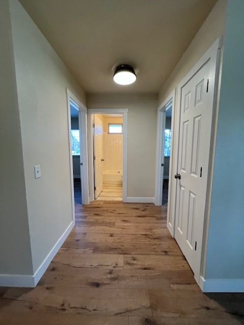 1041 West 9th Street A-D - B #B - Photo 5 of 24