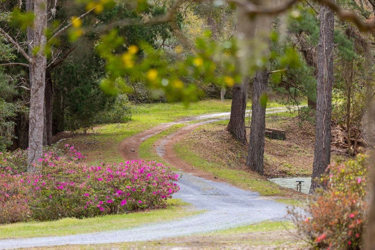 4136 Ashley River Rd - Photo 3 of 50