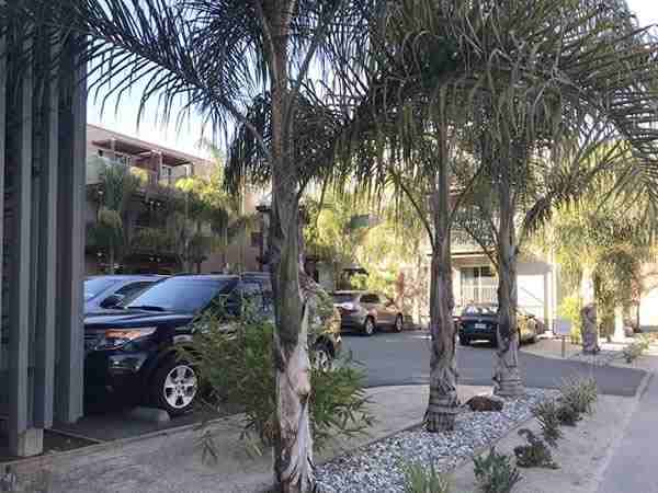 NEW BRIGHTON PLACE APARTMENTS - Photo 3 of 50