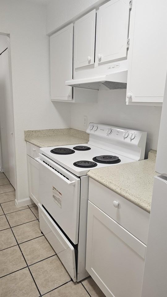 Sandpiper 10333 Oasis St-608 #608 - Photo 3 of 9