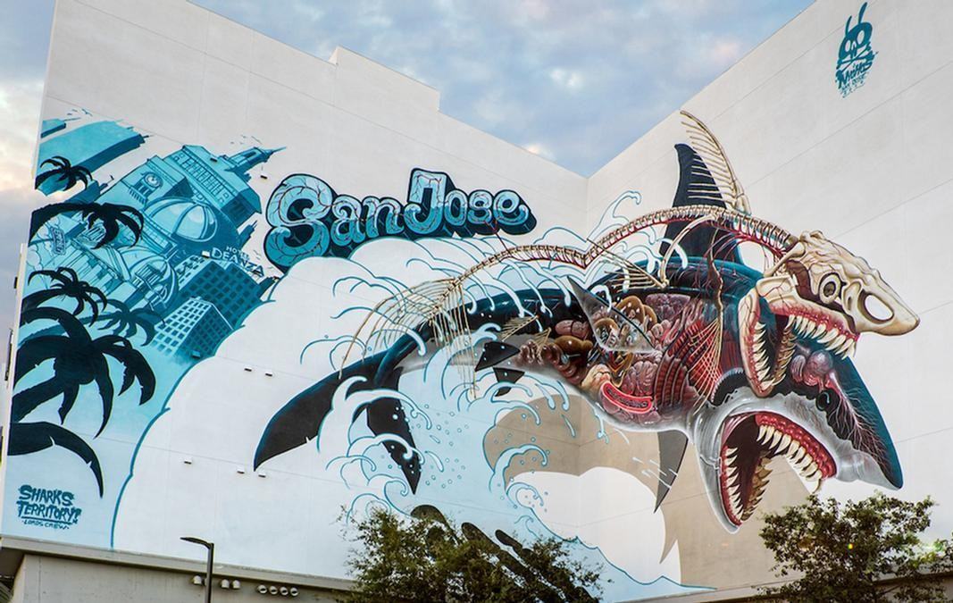 787 The Alameda - Photo 4 of 50