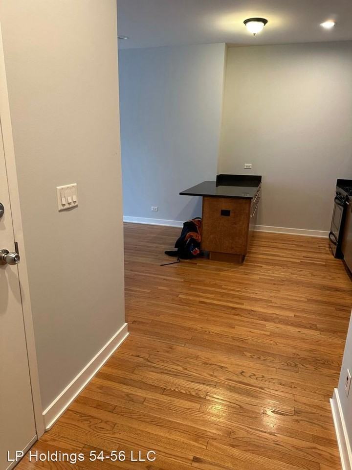 1154-56 N Dearborn - Photo 3 of 31