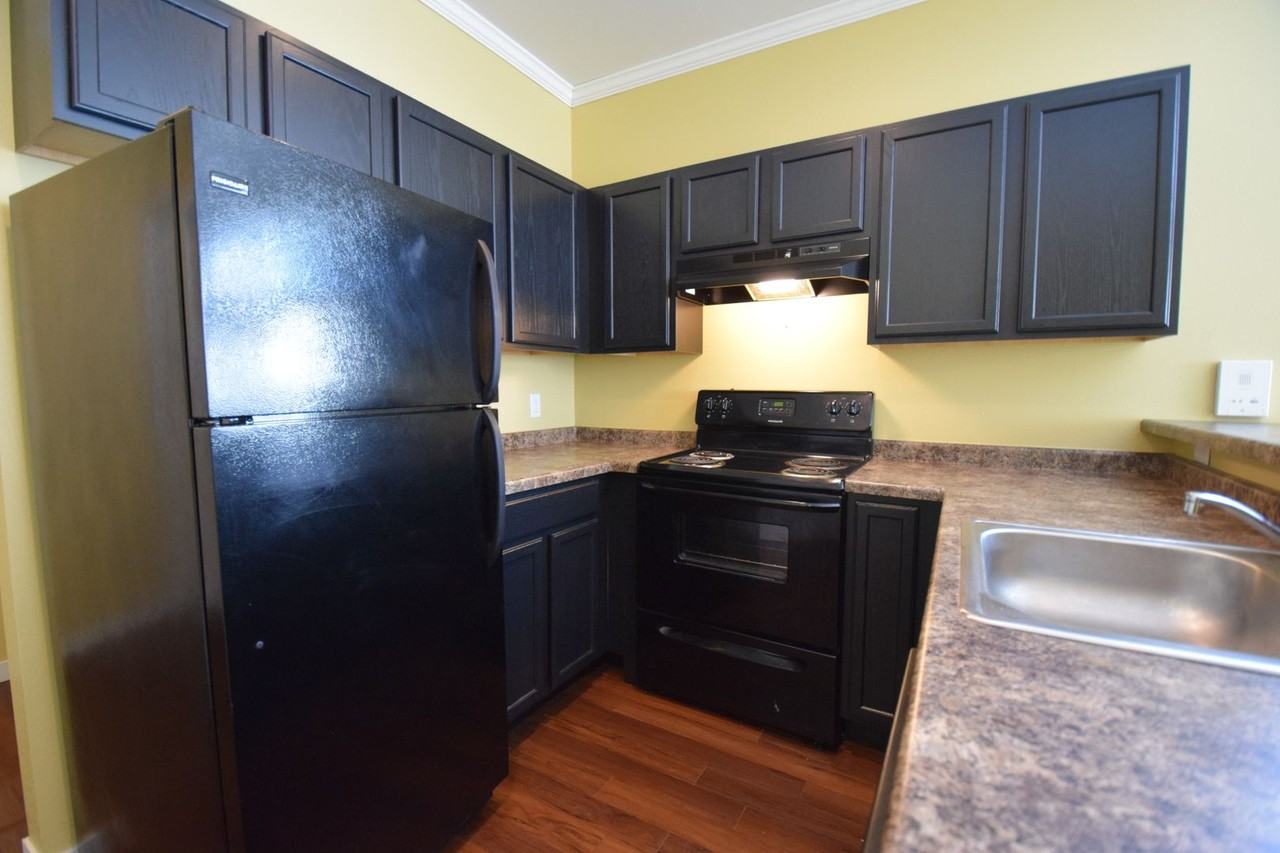 James Courtyard - Photo 4 of 17