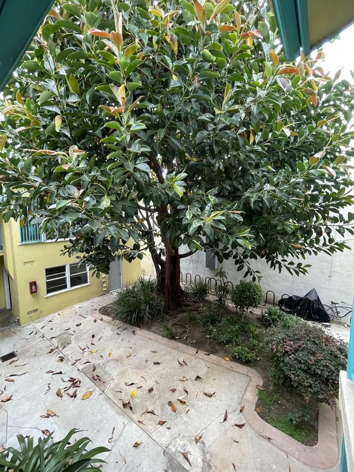 was808 - Photo 3 of 4