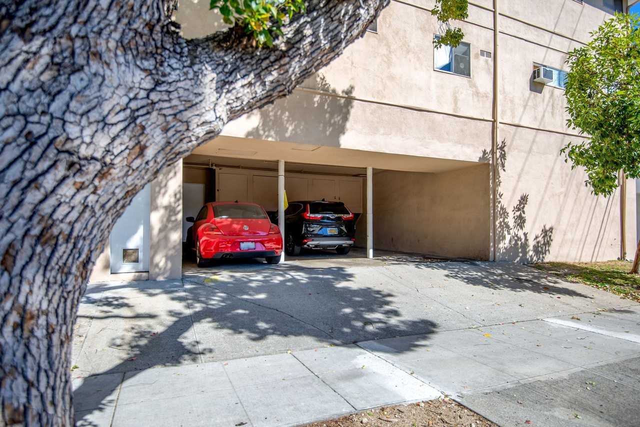 The Palm Apartments, LLC - Photo 5 of 14