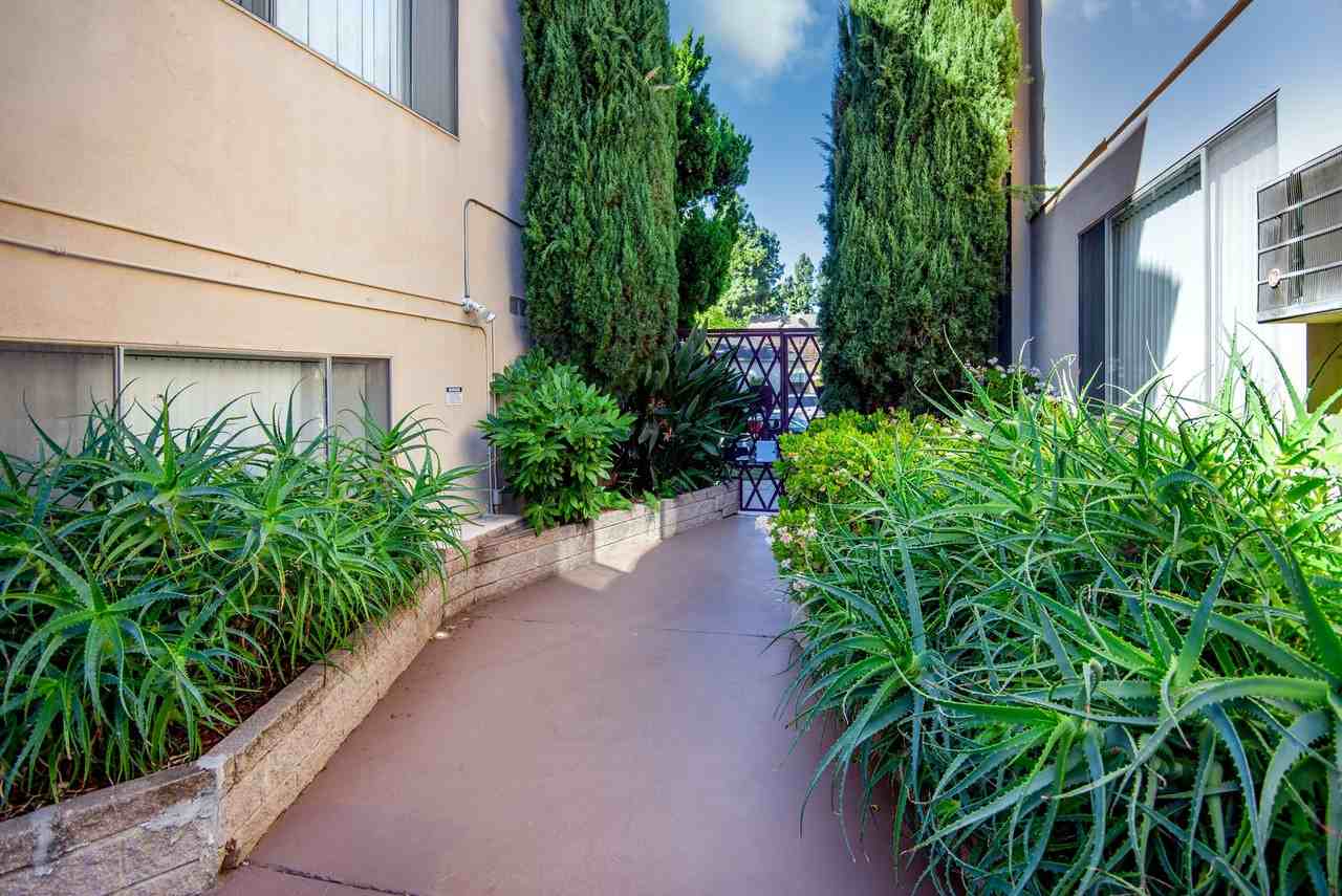 The Palm Apartments, LLC - Photo 6 of 14