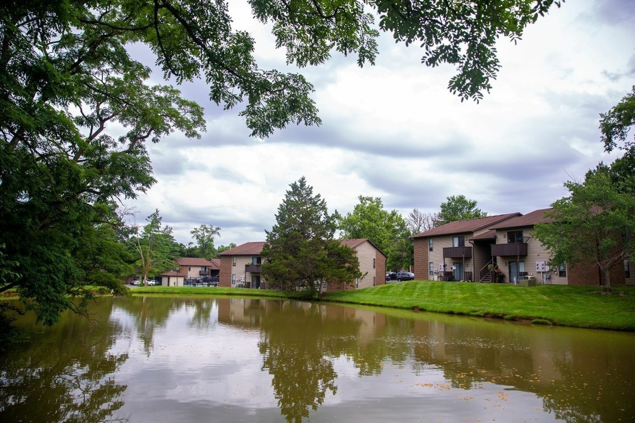 Forest Village - Photo 5 of 24