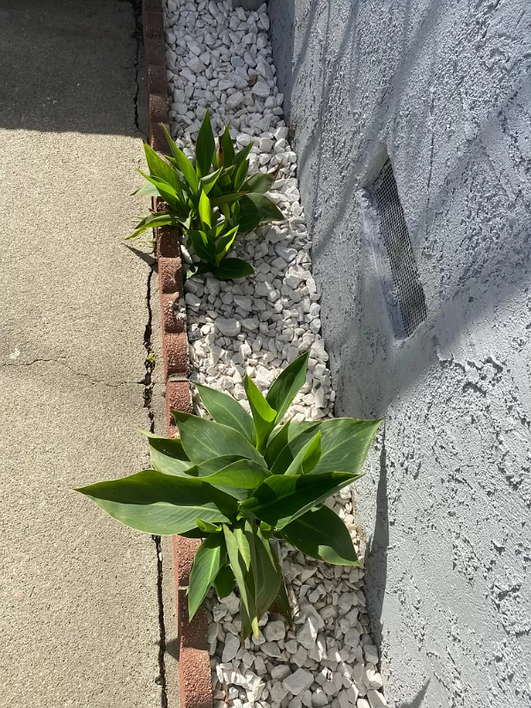 20848 Pioneer Blvd - Photo 3 of 14