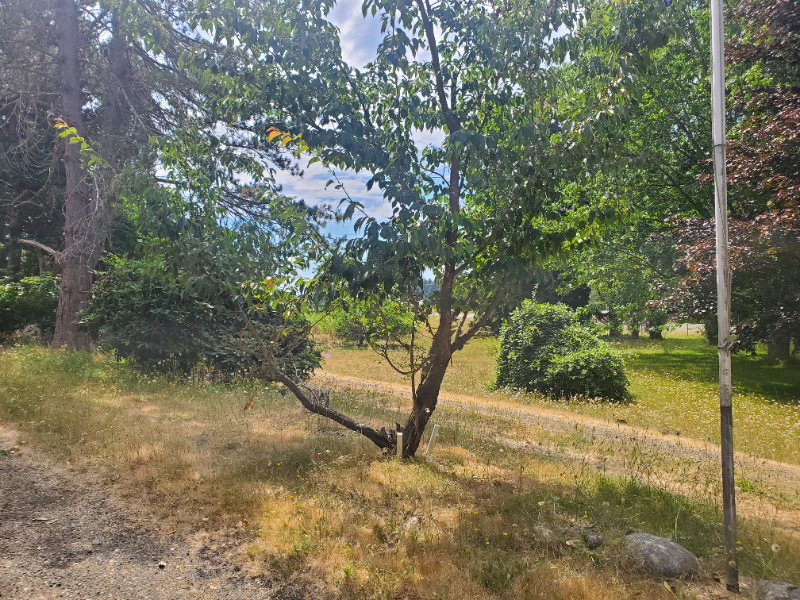 10925 Yelm Highway Southeast - Photo 3 of 18