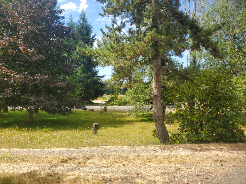 10925 Yelm Highway Southeast - Photo 4 of 18