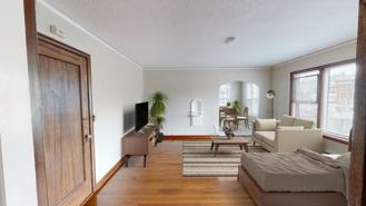 Gordon - Photo 1 of 1