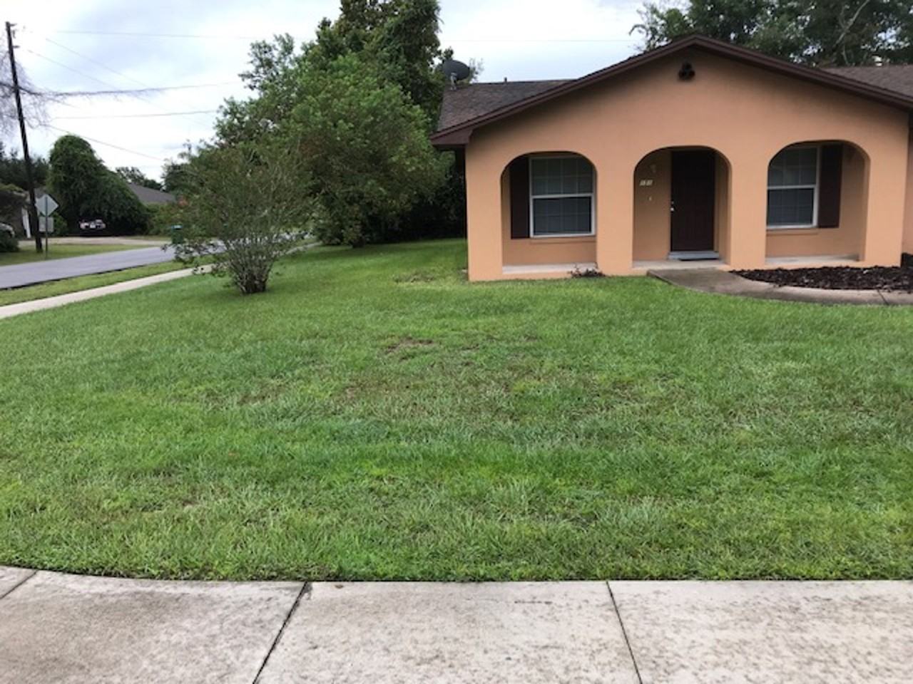 151 Lullwater St Apt A - Photo 3 of 30