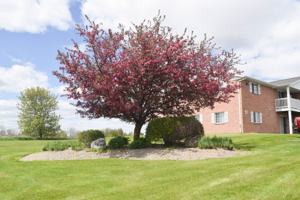 featured image of 106 100, 102, 104, 106 & 108 W. Campus Drive