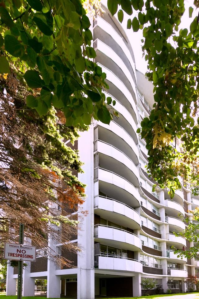 21 Maynard Ave Apartments in Parkdale, Toronto, ON M6K 2Z8 Zumper