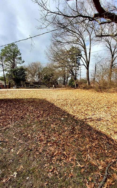 3965 Hedgerow Dr - Photo 3 of 15
