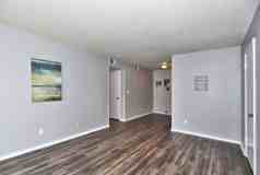 Shady Hollow - Photo 1 of 1