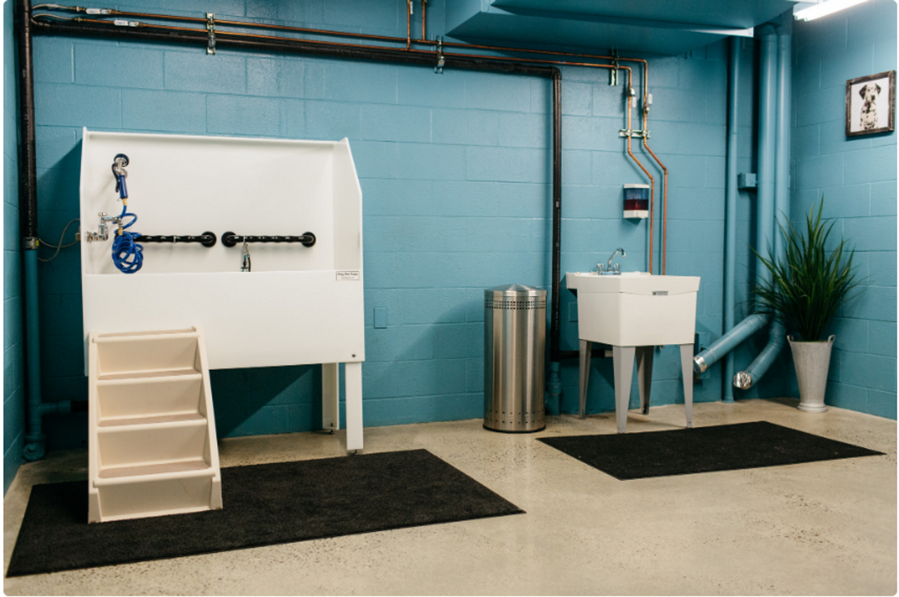 MOD Apartments - Photo 7 of 19