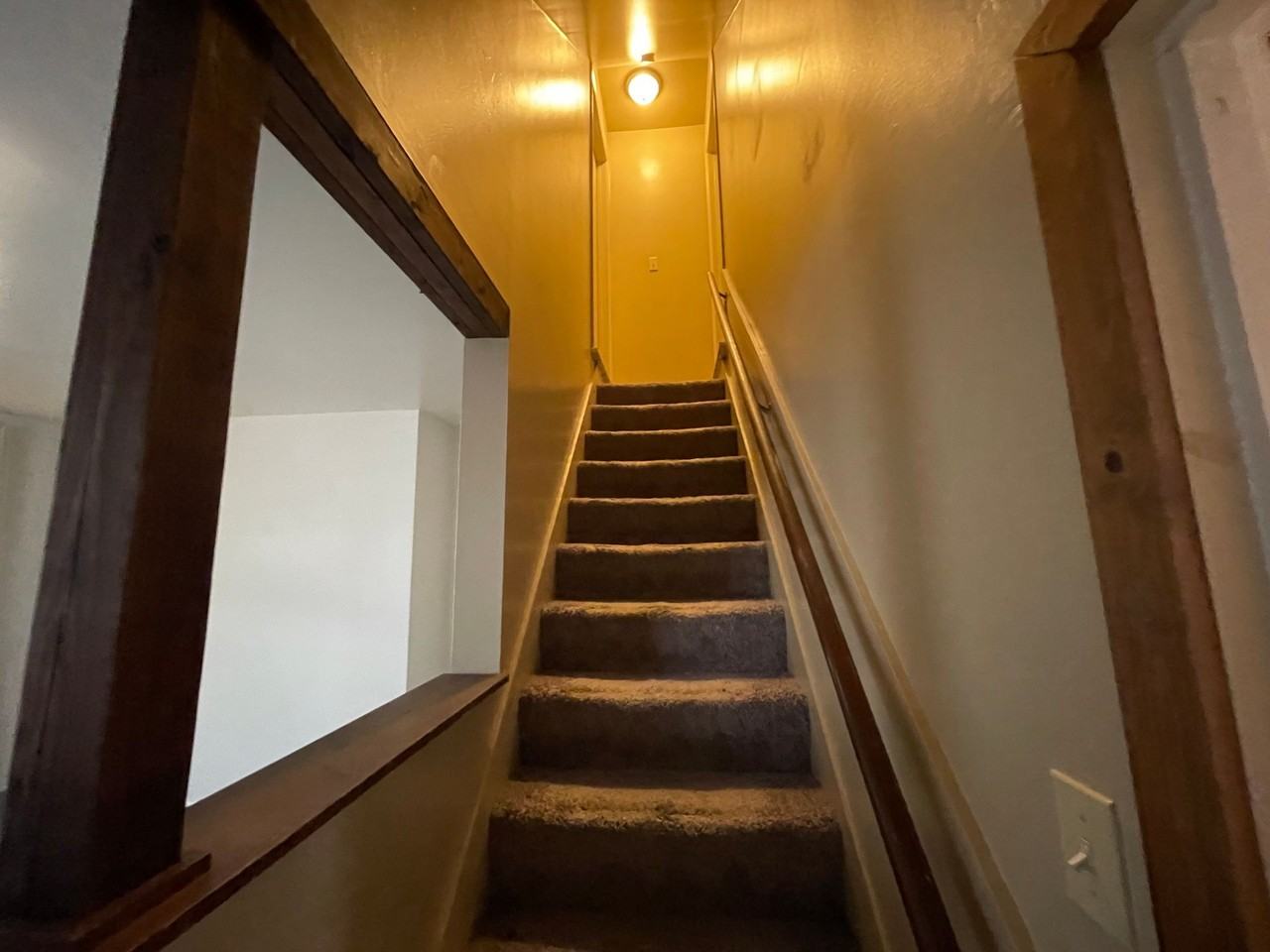 Available NOW - Photo 6 of 16