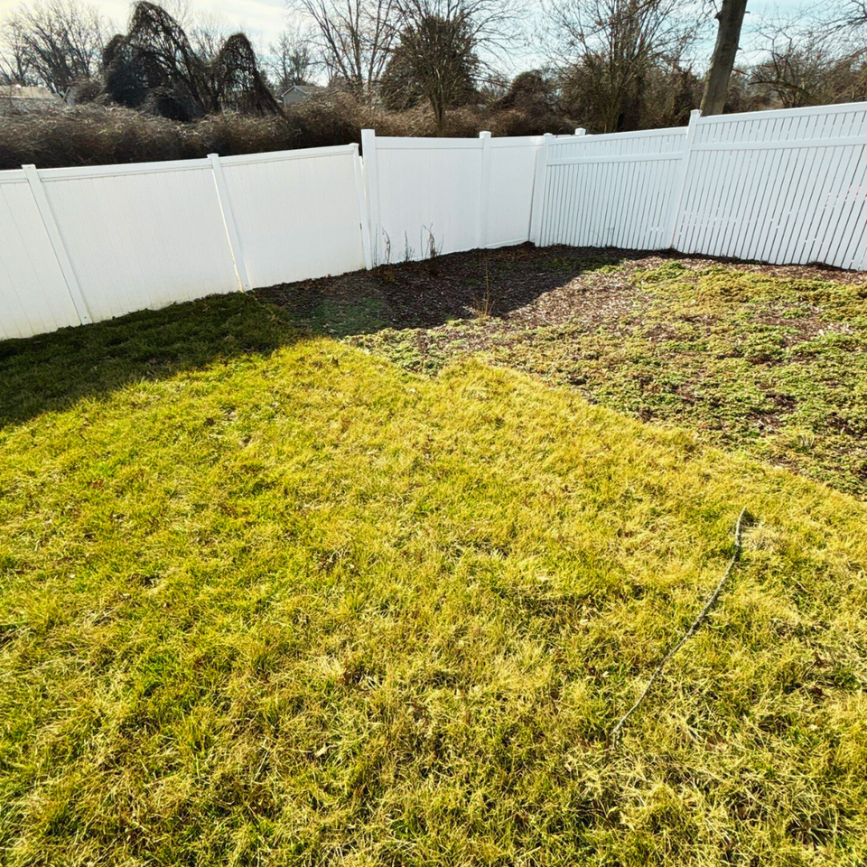 728 Liberty Village Dr - Photo 2 of 5