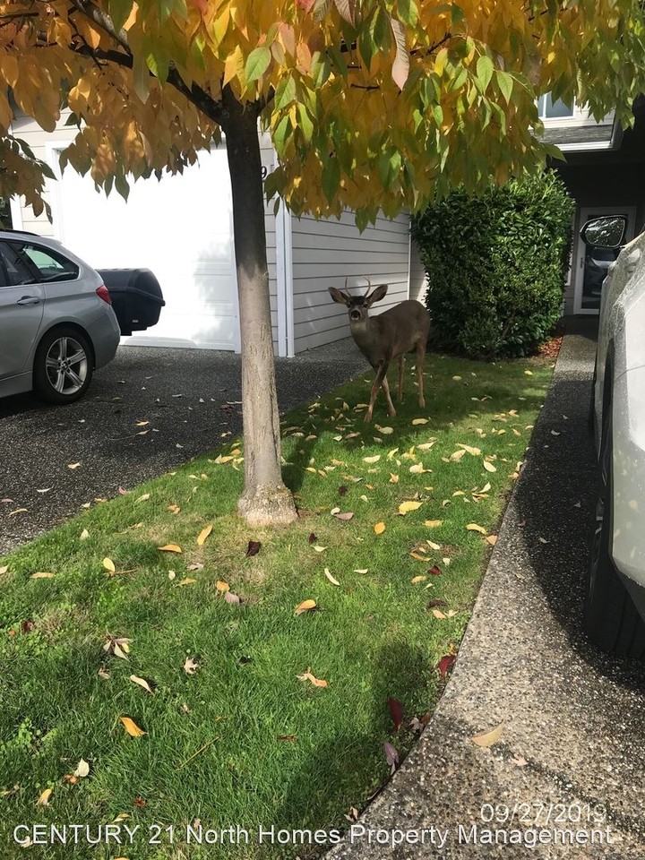 1511 Burrows Ct - Photo 3 of 23