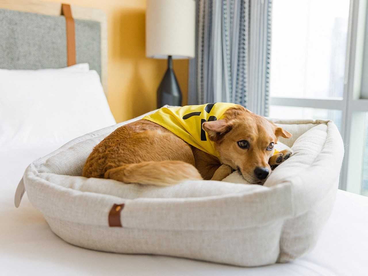 Sentral First Hill - Photo 4 of 28