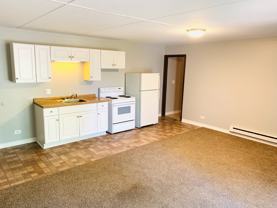 Lemont State Street Apartments - Photo 1 of 1