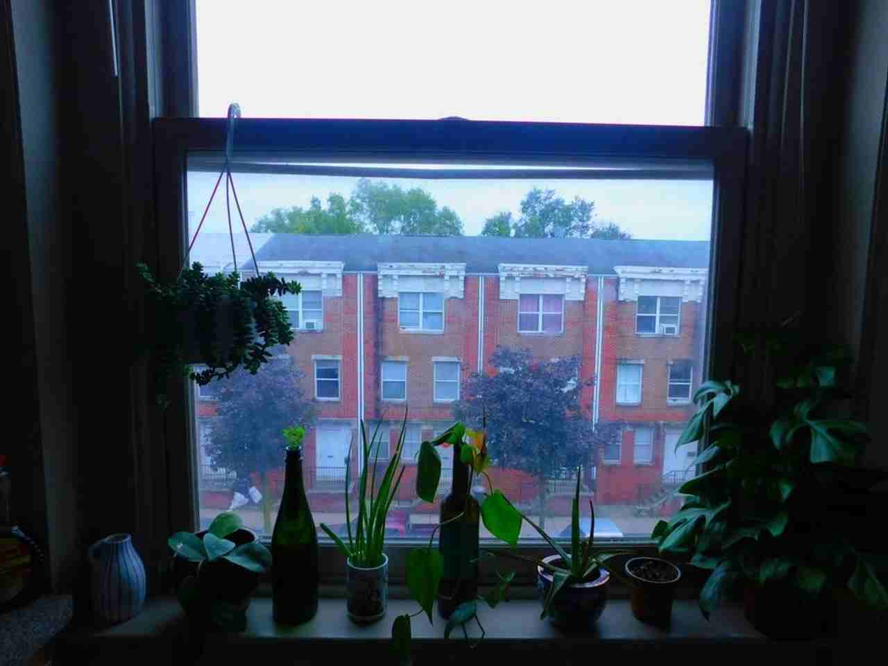 1621 Diamond St - Photo 2 of 17