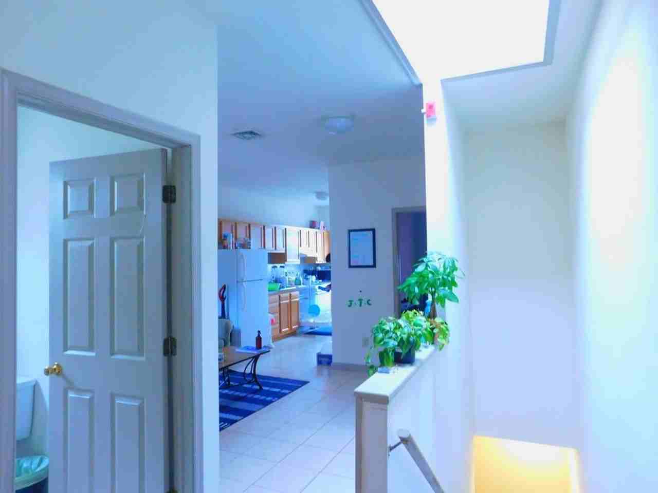 1621 Diamond St - Photo 3 of 17