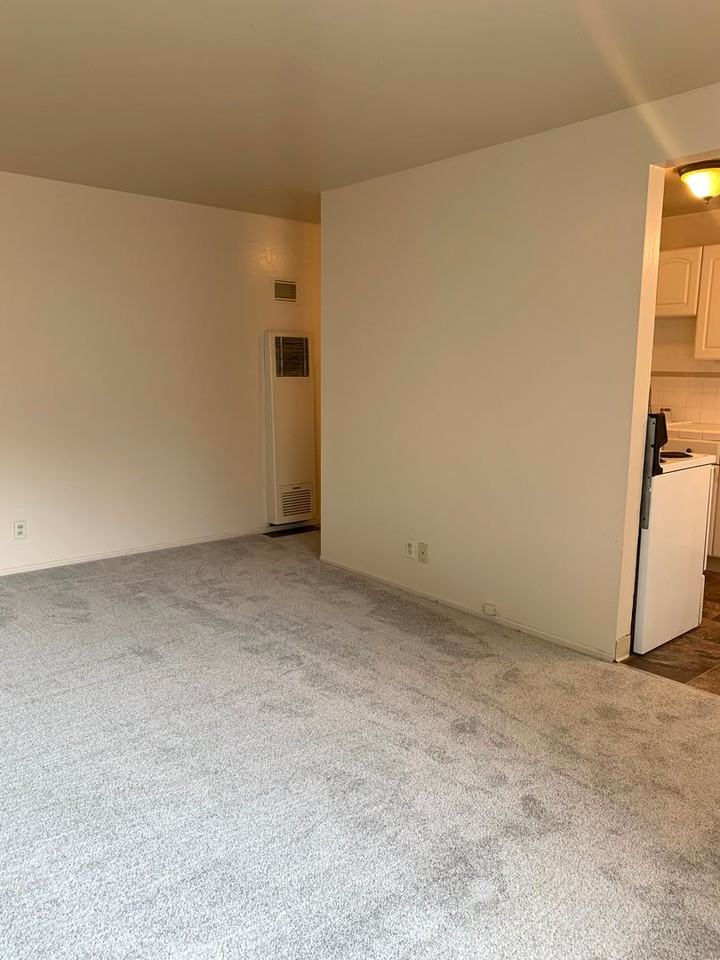 231 E. San Fernando - Photo 3 of 11