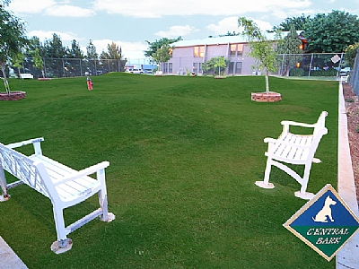 Deerfield Village - Photo 6 of 29