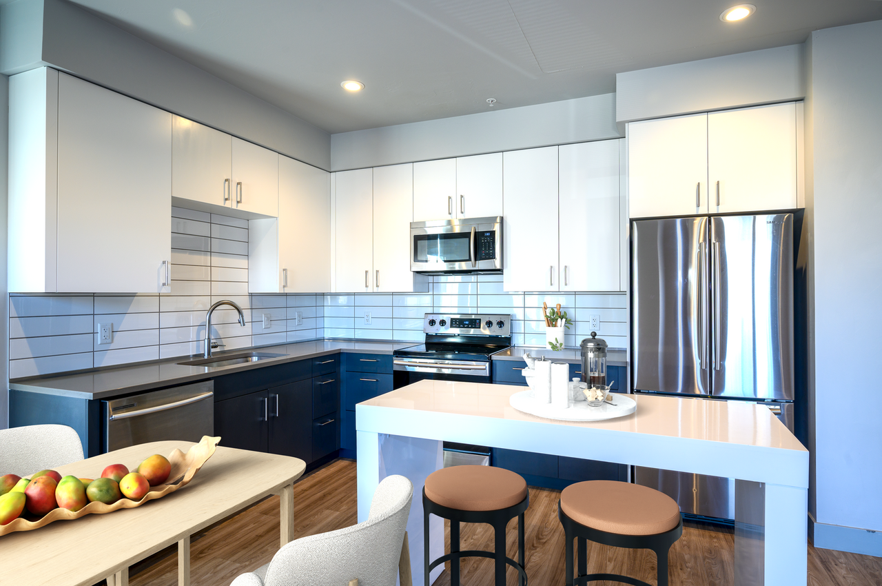 Black Olive - Photo 5 of 16