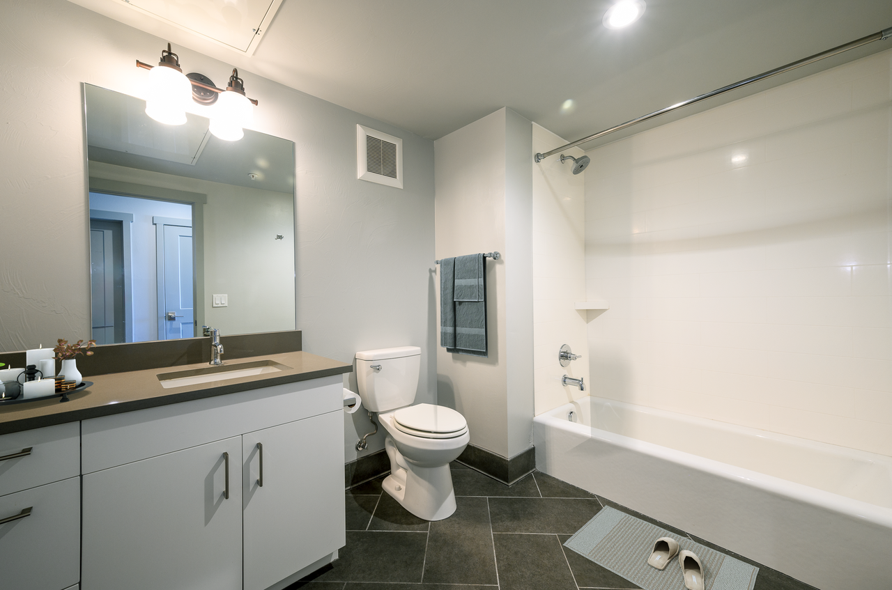 Black Olive - Photo 7 of 16