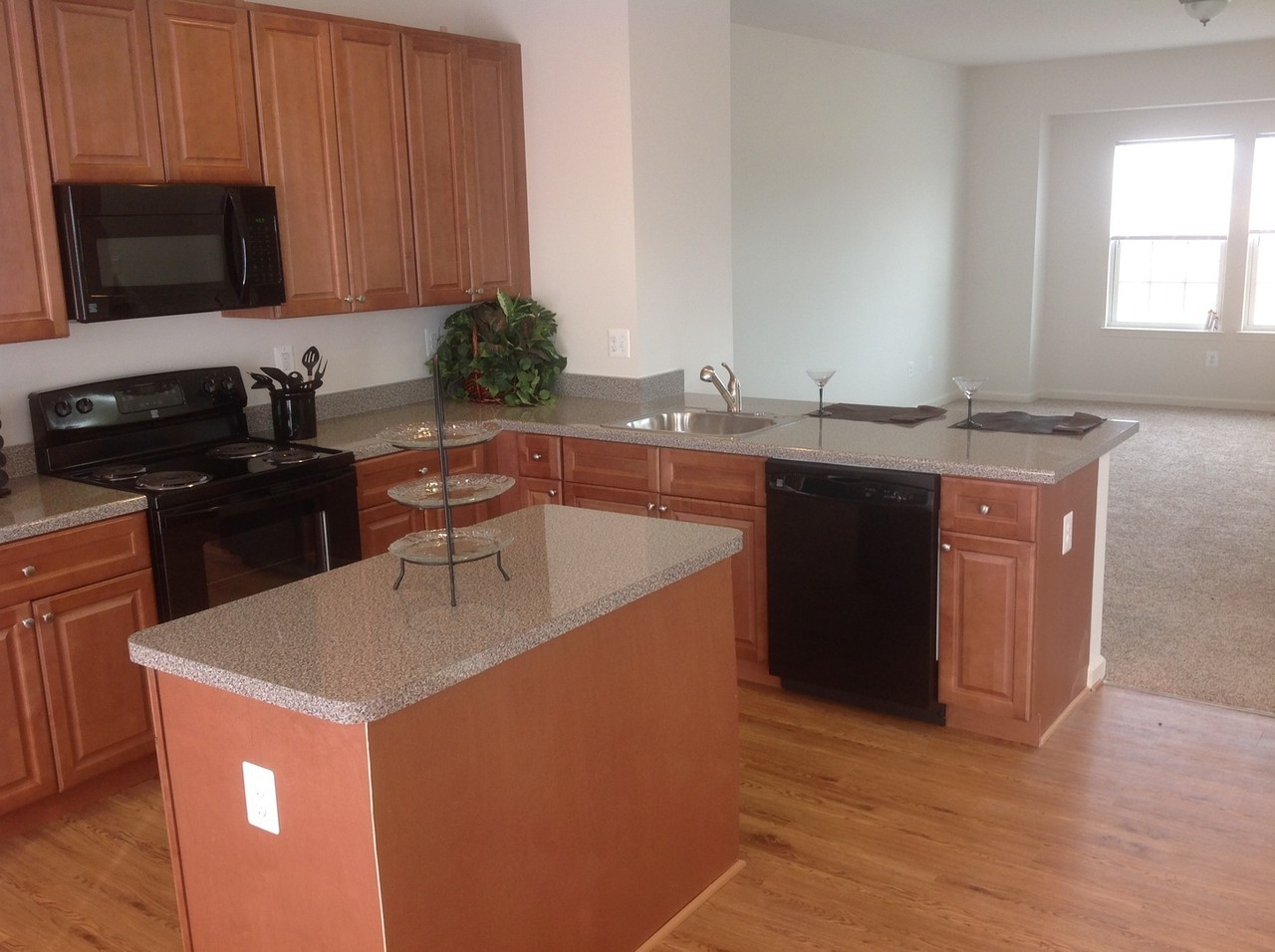 The Villages at Goose Pond - Photo 3 of 24