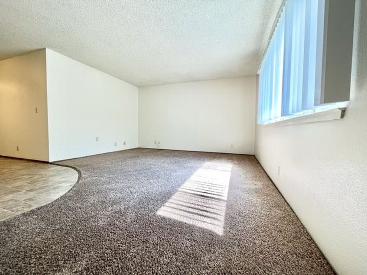 **Pre-Leasing for Summer 2026** 417 Orange Street, 3 Bedroom and 1 Bedroom Options - Photo 3 of 10