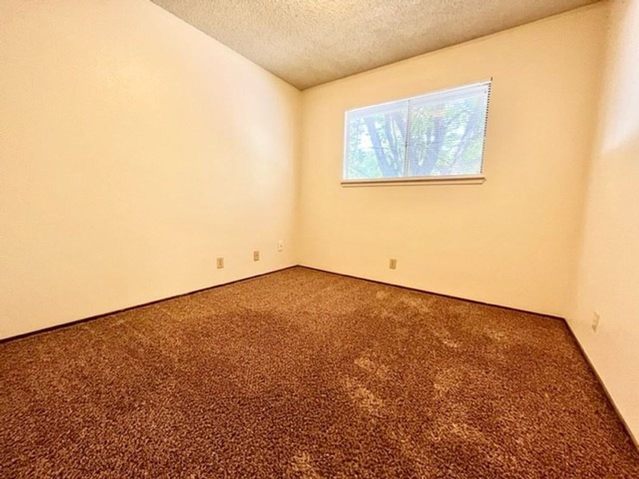 **Pre-Leasing for Summer 2026** 417 Orange Street, 3 Bedroom and 1 Bedroom Options - Photo 7 of 10