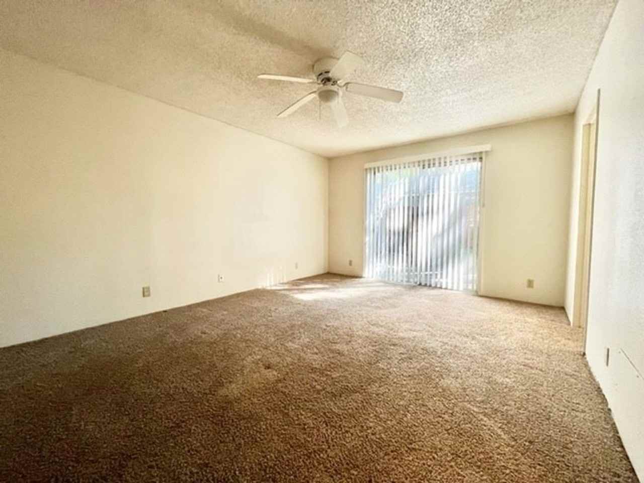 **Pre-Leasing for Summer 2026** 417 Orange Street, 3 Bedroom and 1 Bedroom Options - Photo 5 of 36