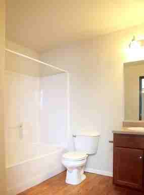 Turning Leaf - Photo 6 of 24