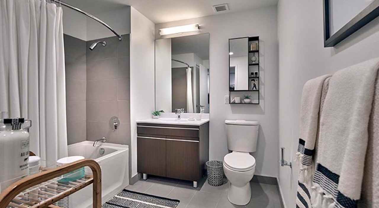 The Vine - Photo 6 of 9