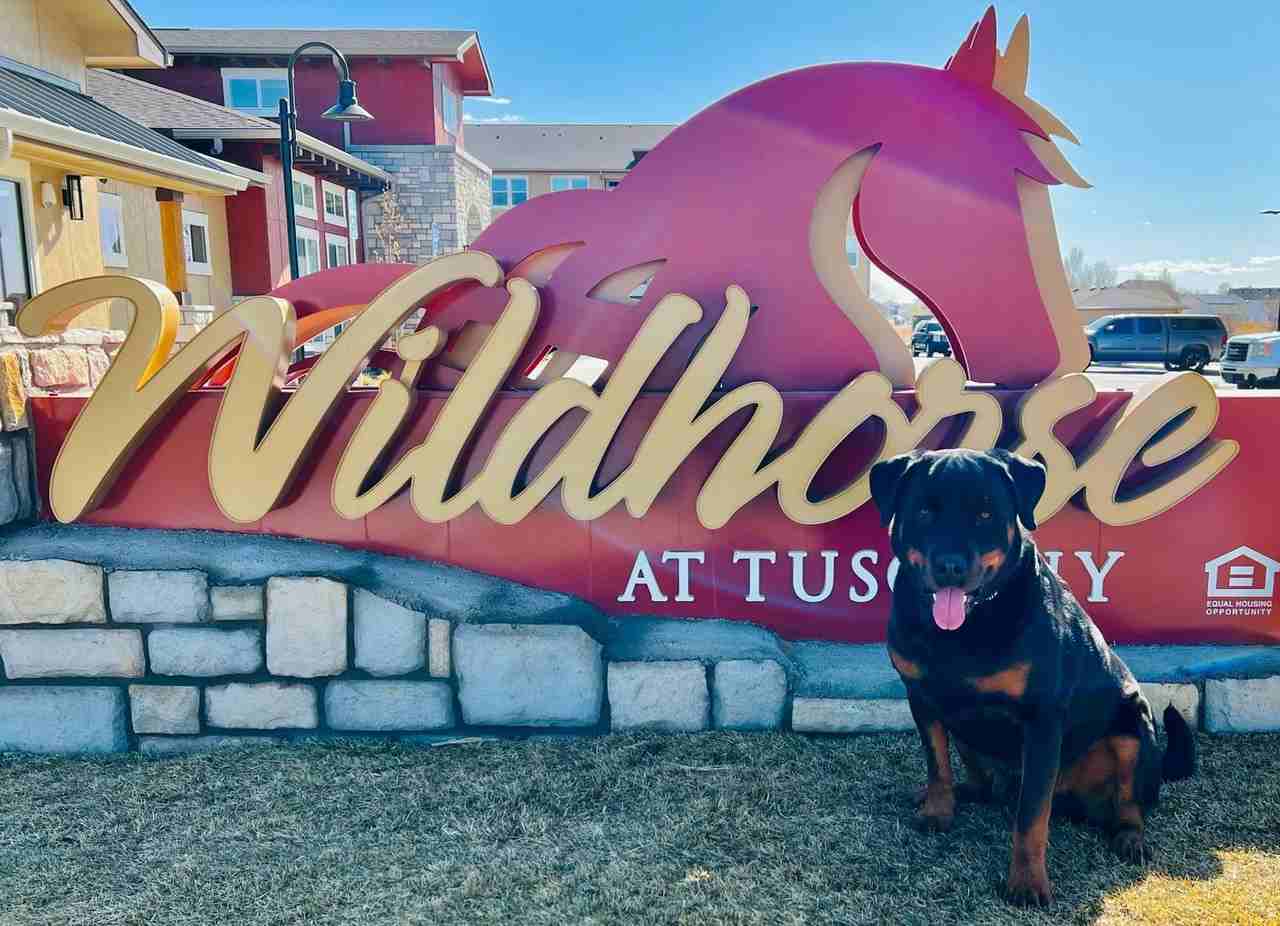 Wildhorse at Tuscany - Photo 3 of 37