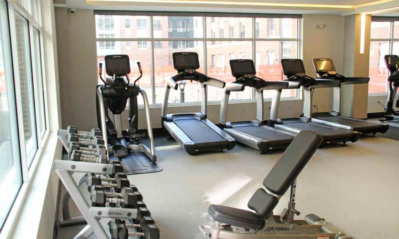 The Harper Apts. - Photo 4 of 42