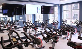 Harper - Photo 1 of 1