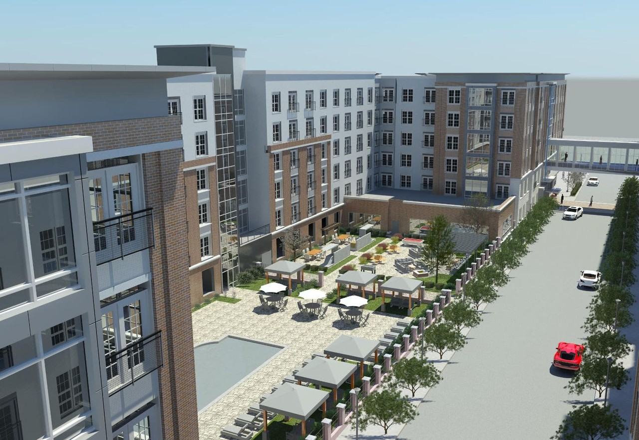 Harper - Photo 2 of 42