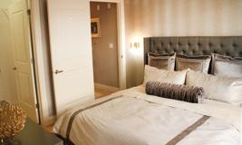 Harper - Photo 1 of 1