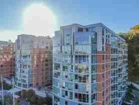 Duchess - Photo 1 of 1