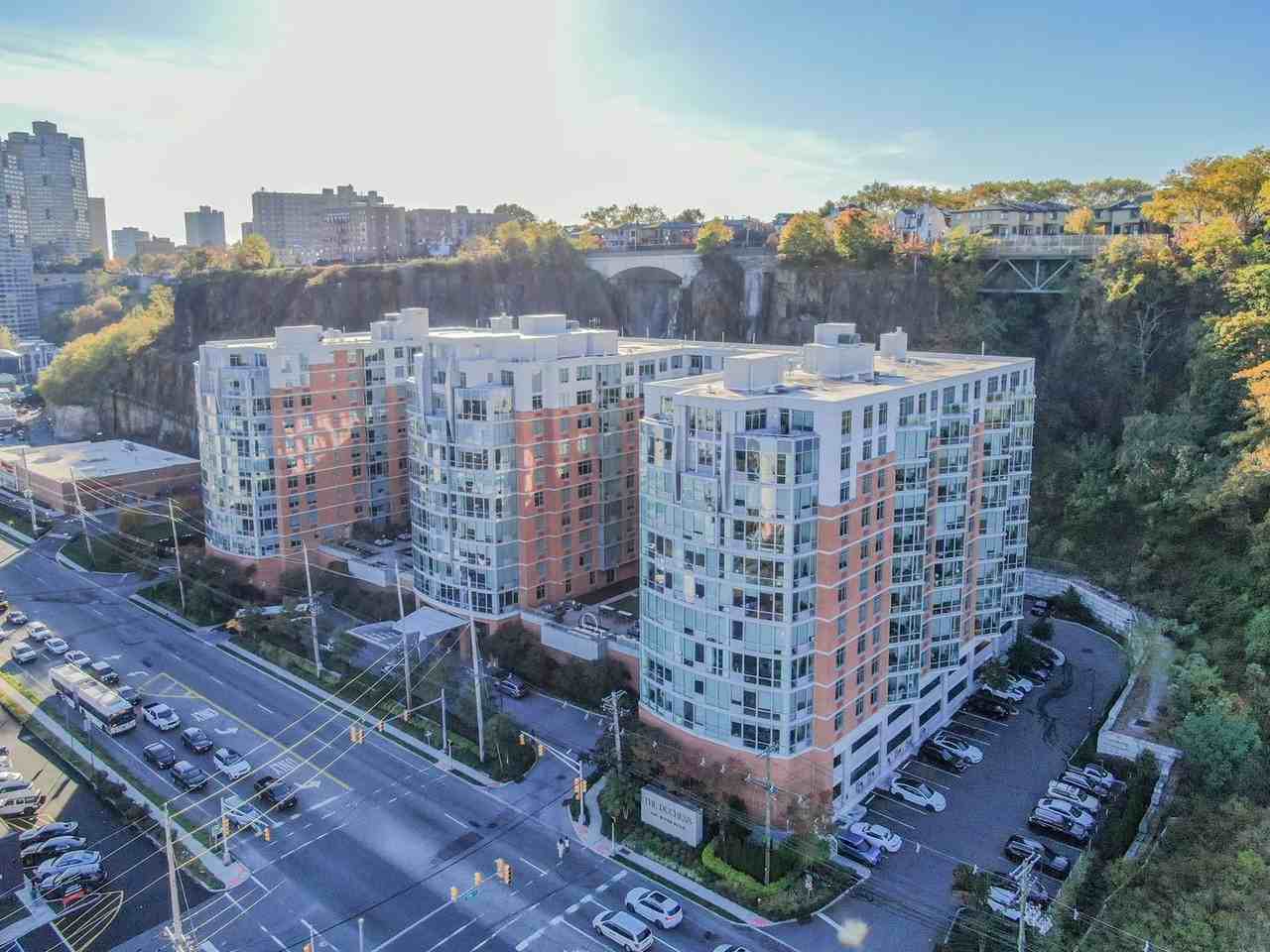 Duchess - Photo 2 of 50