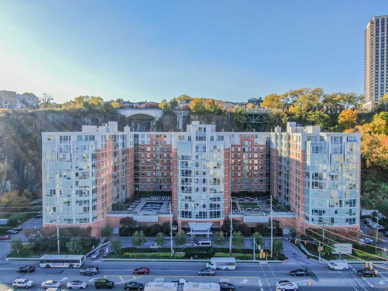 Duchess - Photo 3 of 50